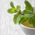 Bạc hà (Mentha piperita): Thảo dược tuyệt vời cho sức khỏe và ẩm thực