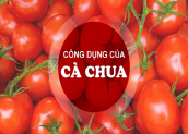 8 Công dụng không ngờ của cà chua đối với sức khỏe