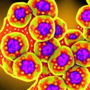 Cyclosporine: Giải pháp hiệu quả cho nhiều vấn đề sức khỏe