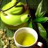 Giới thiệu về chiết xuất trà xanh và lợi ích sức khỏe