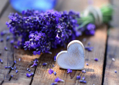 Bất ngờ với công dụng tuyệt vời của hoa lavender