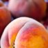Đào (Prunus persica): Một Giống Cây Trái Phổ Biến và Tính Năng Đặc Biệt
