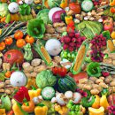 Prebiotics: Duy trì sức khỏe ruột với chất xơ dinh dưỡng