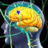 Scanneuron – Công nghệ tiên tiến trong nghiên cứu não học