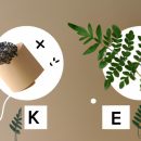 Sương Mũi Giảm Dị Ứng: Giải Pháp Hiệu Quả Cho Triệu Chứng Dị Ứng Mũi