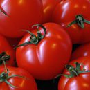 Tác dụng của Cà chua – Tất cả những gì bạn cần biết