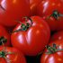 Tác dụng của Cà chua – Tất cả những gì bạn cần biết